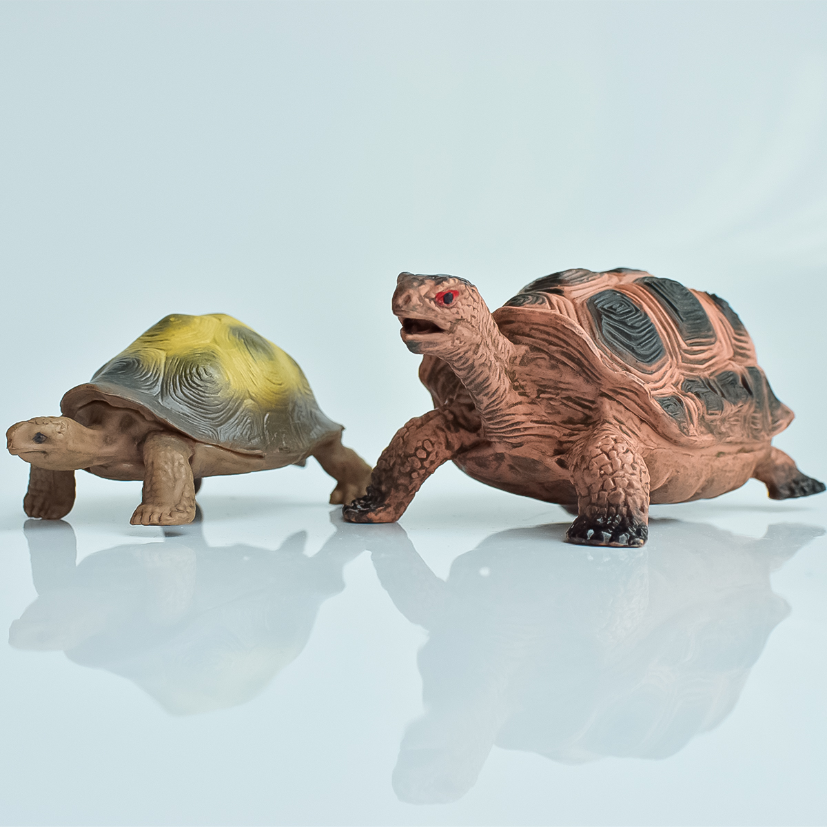 Aquarium Fish Farm - Painted Realistic Animal Turtle | Aquatic
