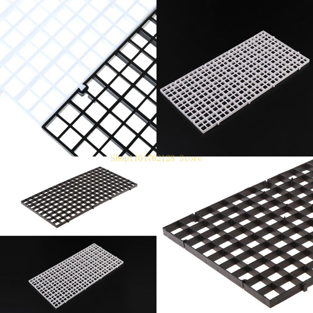 Aquarium Fish For Sale - Aquarium Bottom Plate Fish for Tank