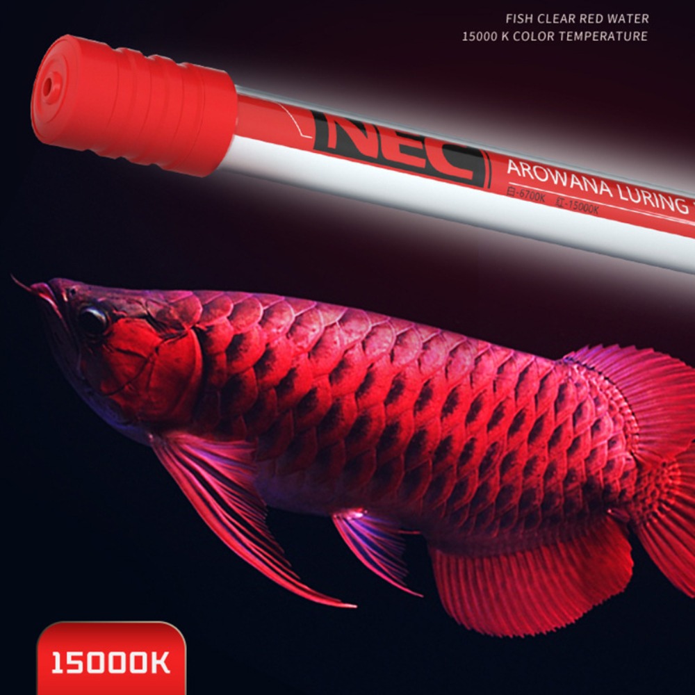 Aquarium Fish Colorful - NEC-Arowana Lamp Color Brightening, 6700K and