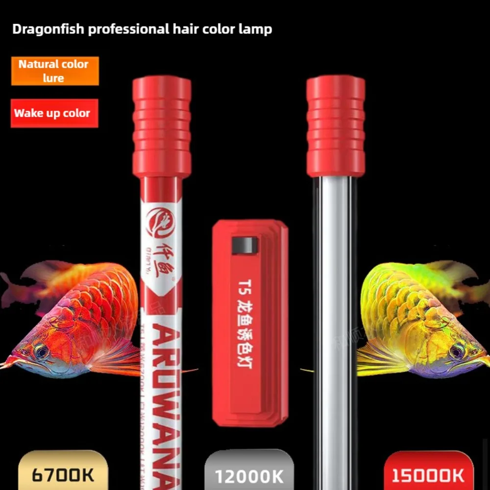 Aquarium Fish Colorful - LED Aquarium Light Arowana Hair Color
