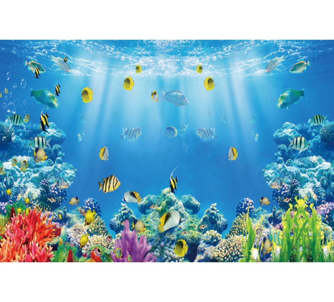 Underwater World Fish Coral Aq - Aquarium Fish Of The World recensione e prezzo