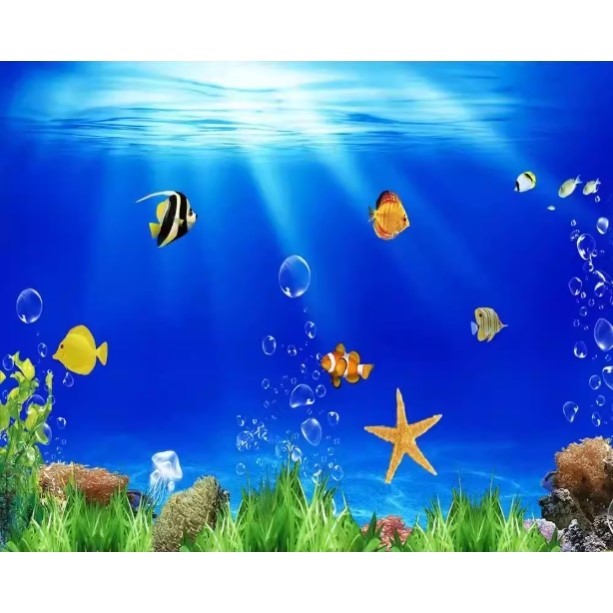 High Definition 3D Aquarium Ba - Aquarium Fish Of The World recensione e prezzo