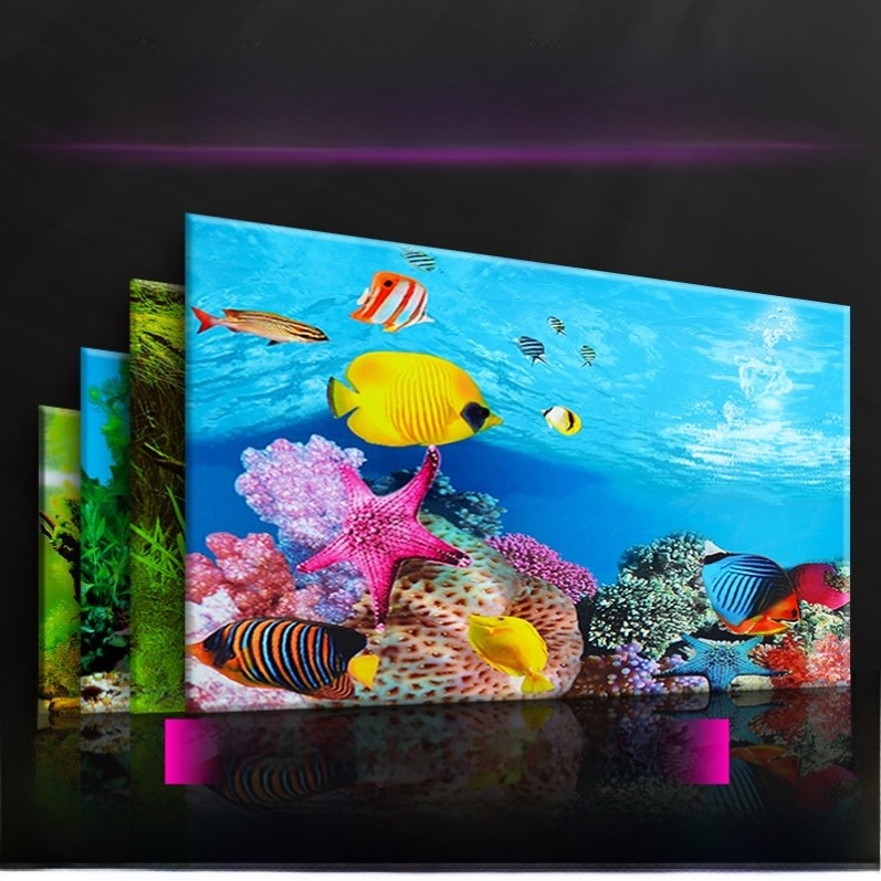 High Definition 3D Aquarium Ba - Aquarium Fish Of The World recensione e prezzo