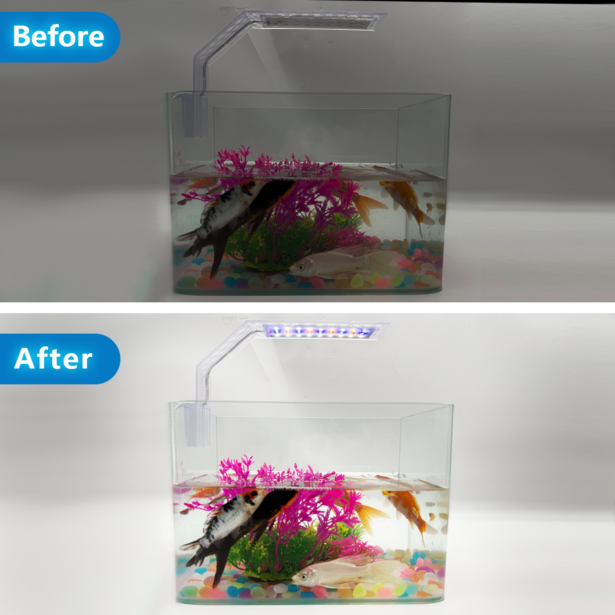 Super Slim LED Aquarium Light  - Aquarium Fish Light Lamp recensione e prezzo