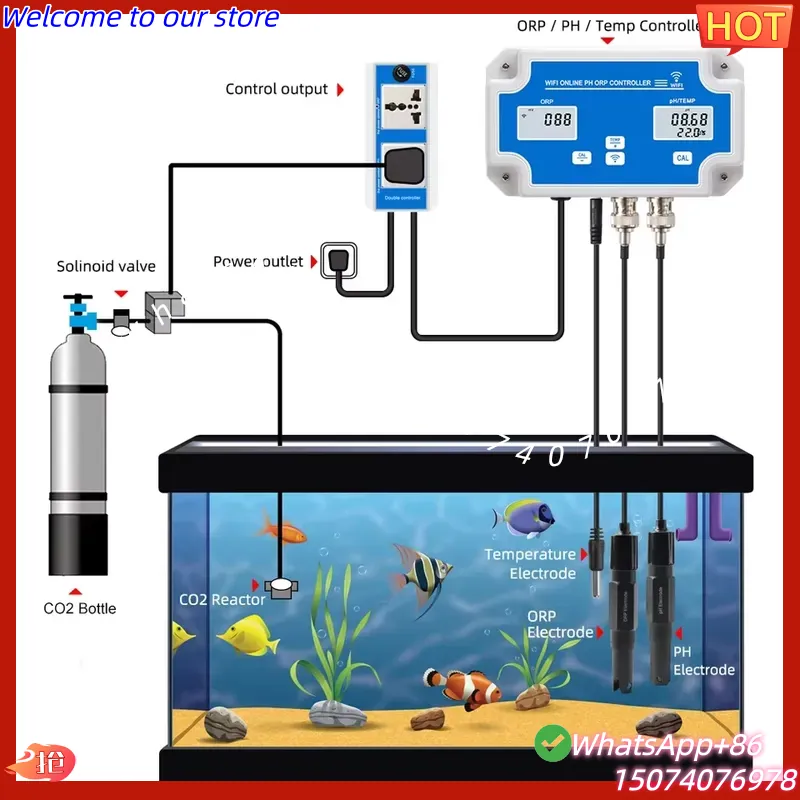 2026 Wireless WiFi Online Cont - Aquarium Fish In Online recensione e prezzo