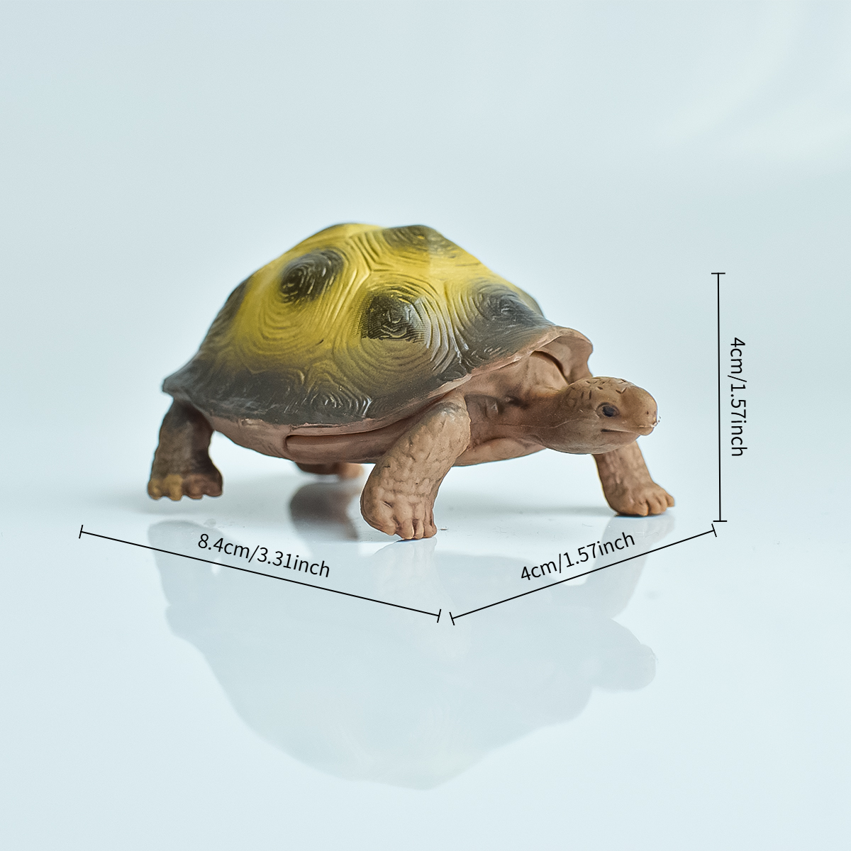 Painted Realistic Animal Turtl - Aquarium Fish Farm recensione e prezzo