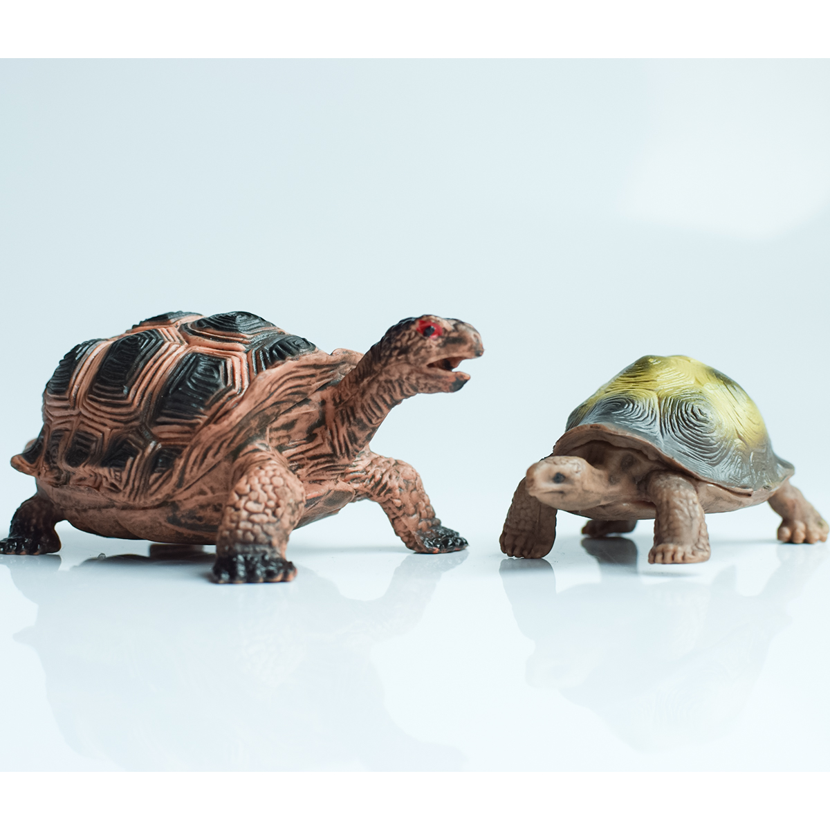 Painted Realistic Animal Turtl - Aquarium Fish Farm recensione e prezzo