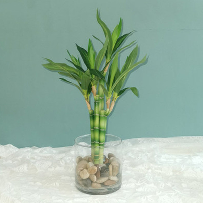 New 40cm rFtificial Lucky Bamb - Aquarium Fish Farm recensione e prezzo