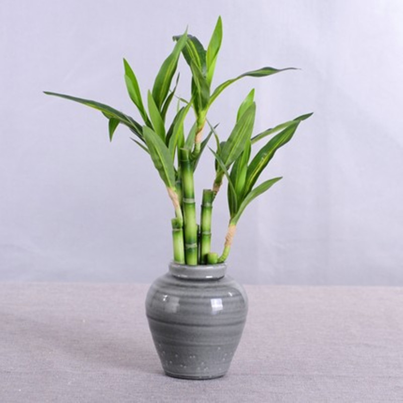 New 40cm rFtificial Lucky Bamb - Aquarium Fish Farm recensione e prezzo