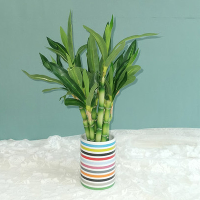 New 40cm rFtificial Lucky Bamb - Aquarium Fish Farm recensione e prezzo