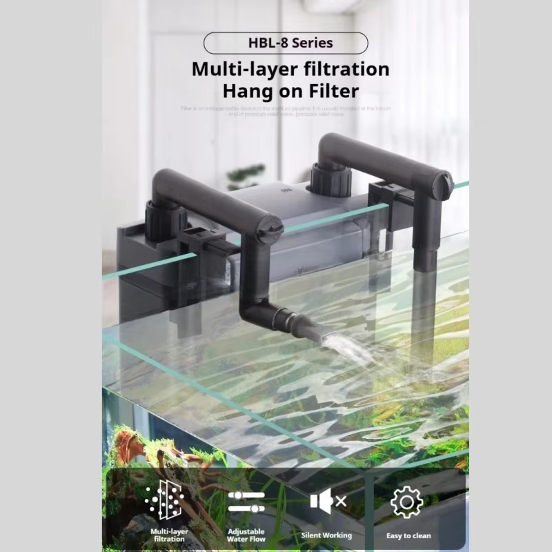 Hot Sale Professional Aquarium - Aquarium Fish For Sale recensione e prezzo