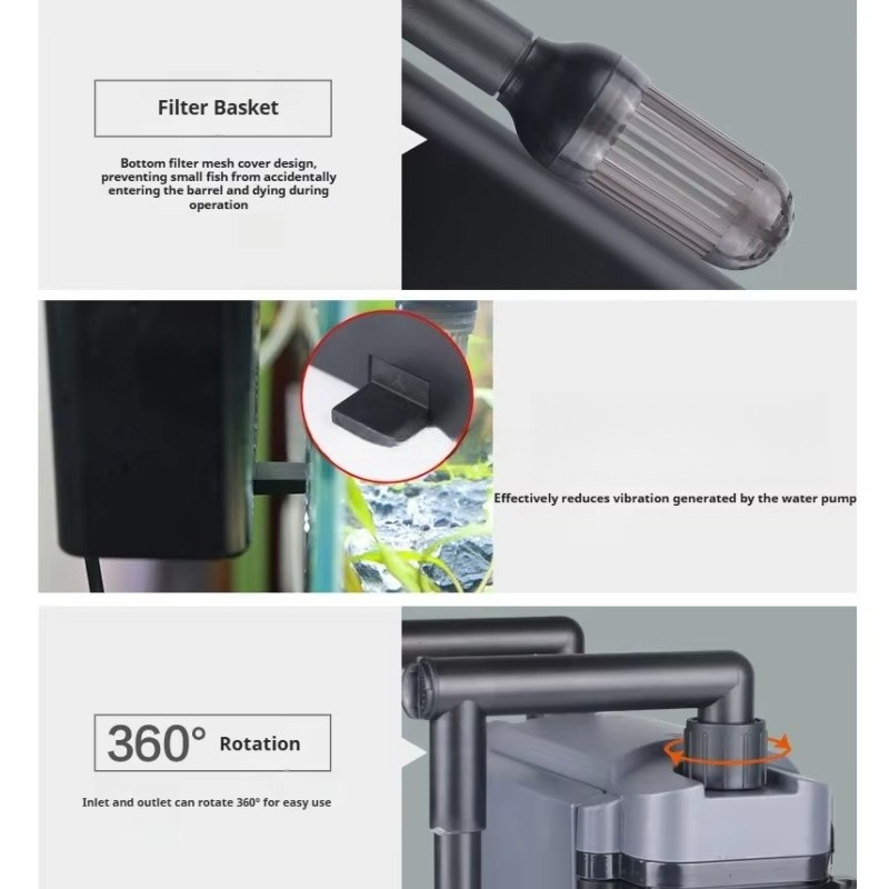 Hot Sale Professional Aquarium - Aquarium Fish For Sale recensione e prezzo