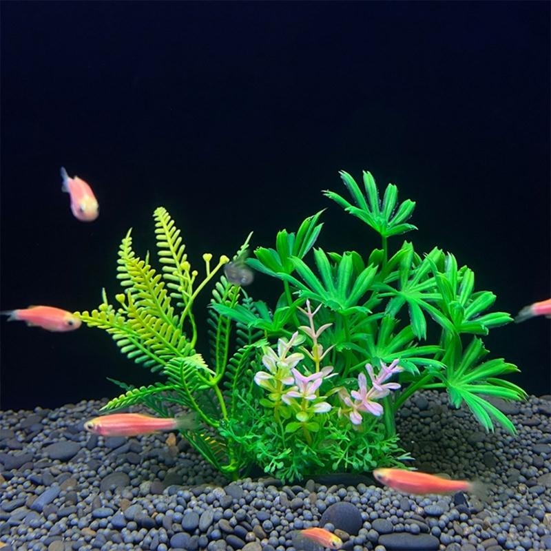 Artificial Aquarium Decoration - Aquarium Fish For Sale recensione e prezzo