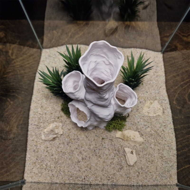 Hot Sale 3D Printed Coral Tunn - Aquarium Fish For Sale recensione e prezzo