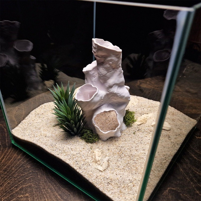Hot Sale 3D Printed Coral Tunn - Aquarium Fish For Sale recensione e prezzo