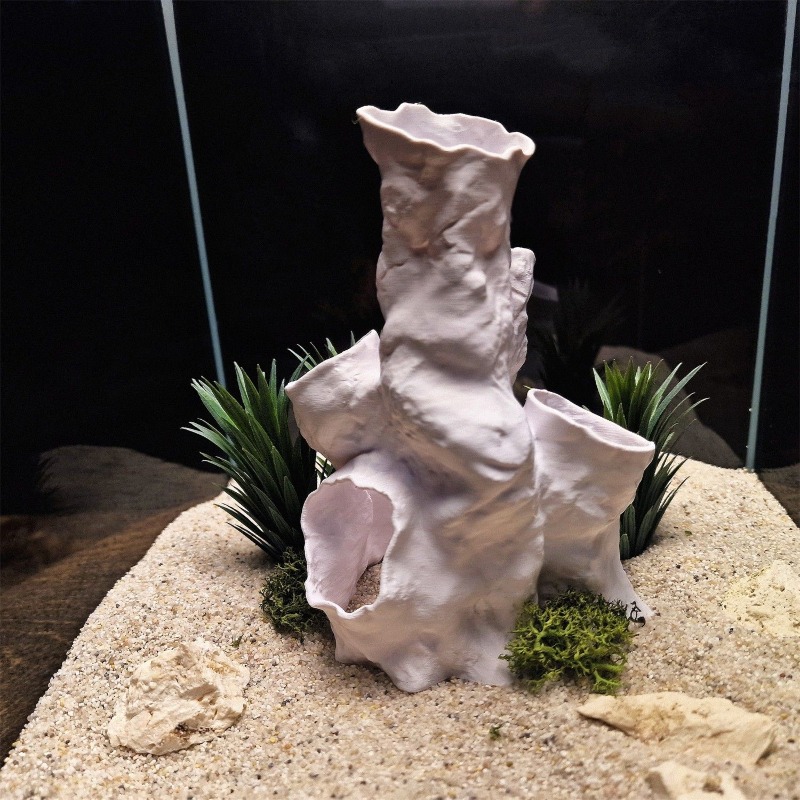 Hot Sale 3D Printed Coral Tunn - Aquarium Fish For Sale recensione e prezzo