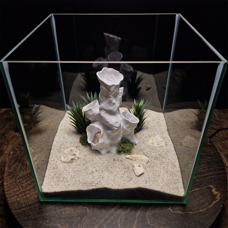 Hot Sale 3D Printed Coral Tunn - Aquarium Fish For Sale recensione e prezzo