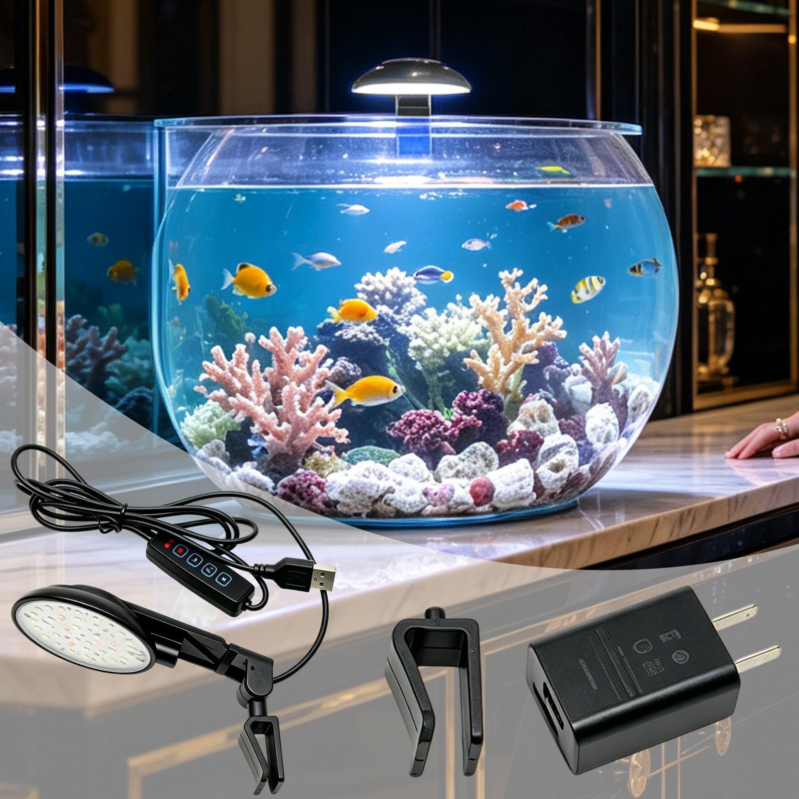 Aquarium Light Waterproof Clam - Aquarium Fish Light Lamp recensione e prezzo