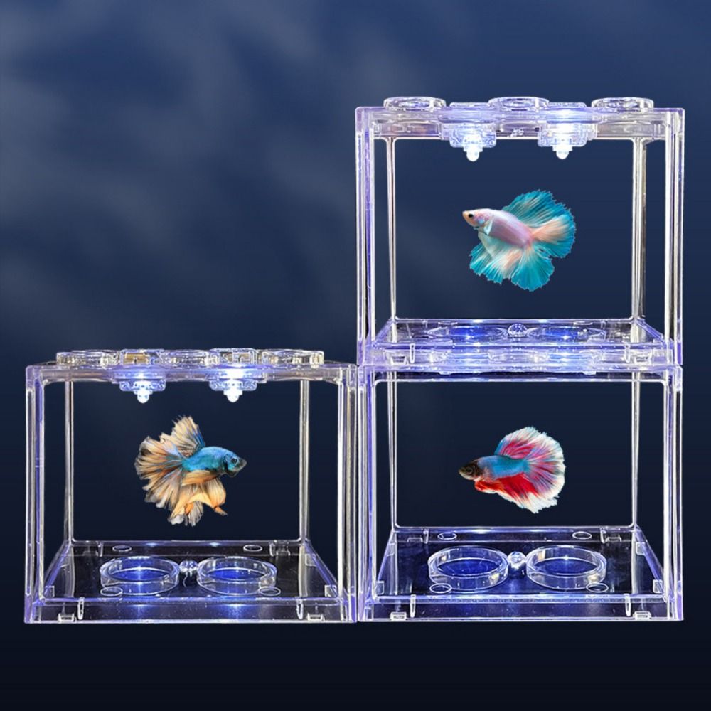 Aquarium Fish Tank Lamp Contro - Aquarium Fish Colorful recensione e prezzo