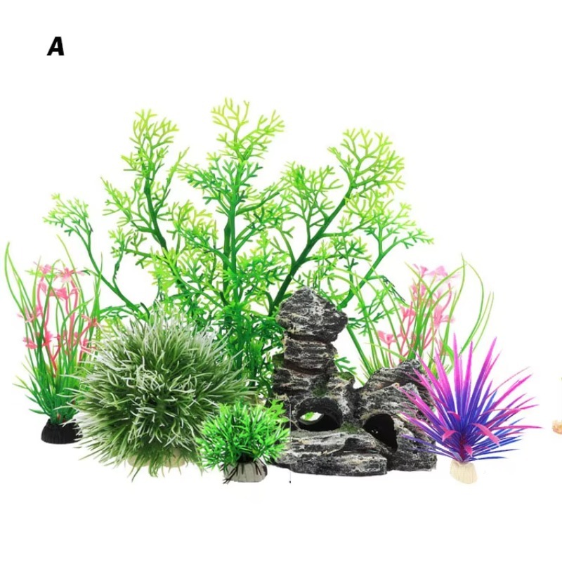 10pcs Hot Selling New Arrival  - Aquarium Fish For Sale recensione e prezzo