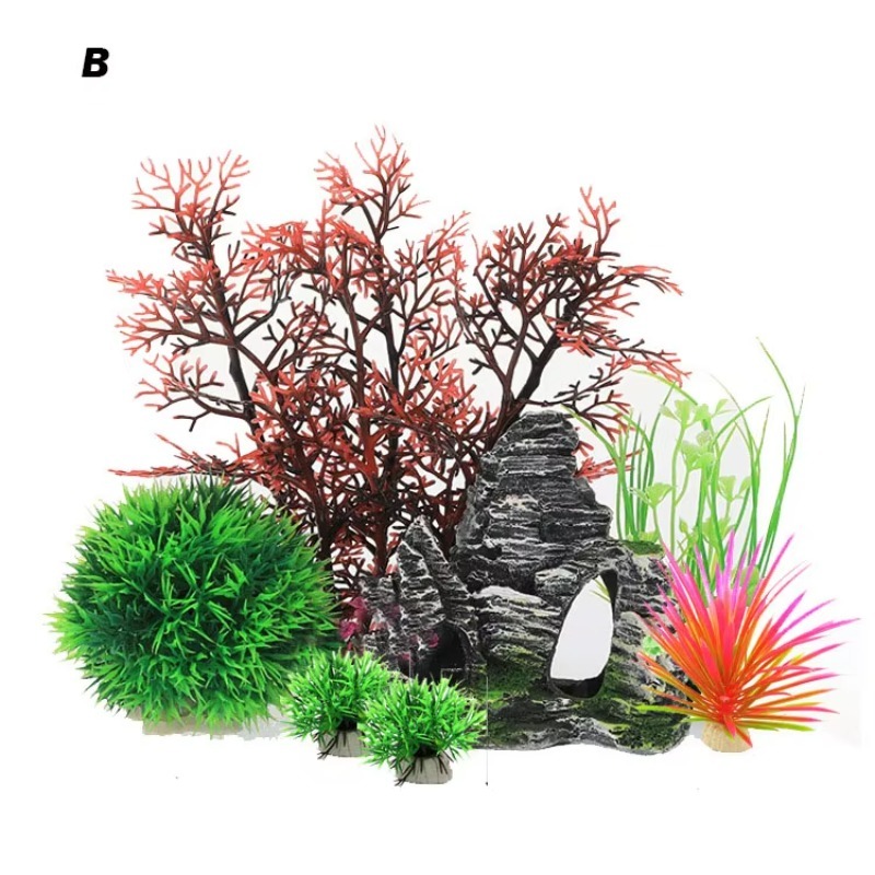 10pcs Hot Selling New Arrival  - Aquarium Fish For Sale recensione e prezzo