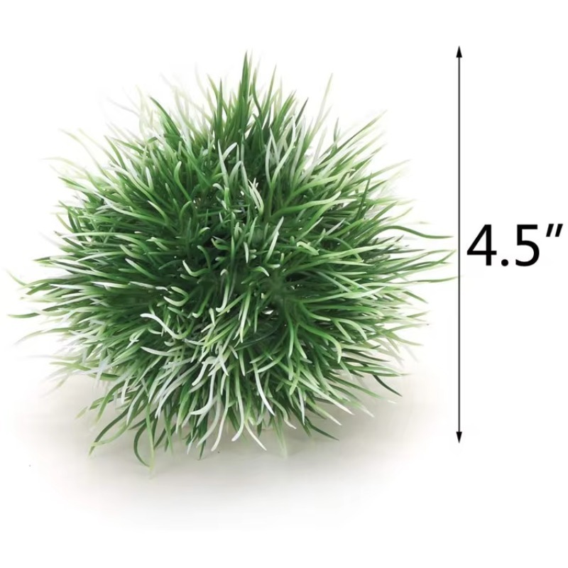 10pcs Hot Selling New Arrival  - Aquarium Fish For Sale recensione e prezzo