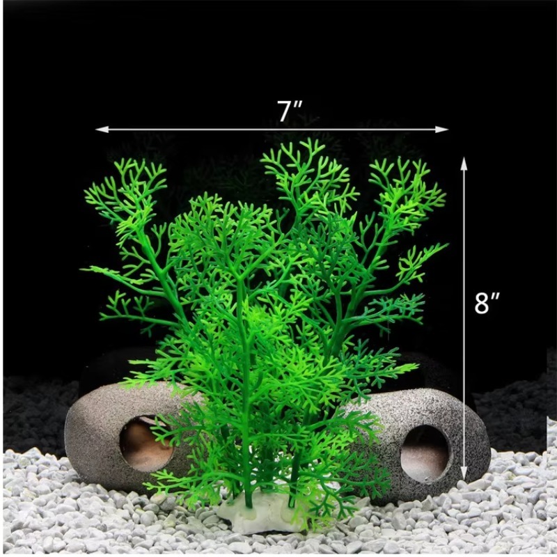10pcs Hot Selling New Arrival  - Aquarium Fish For Sale recensione e prezzo