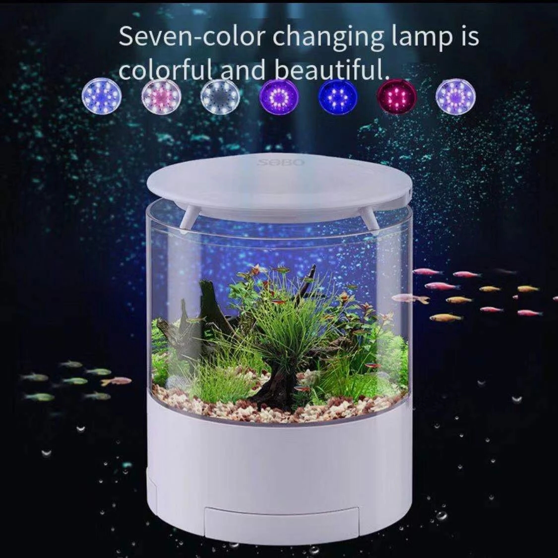 Round colorful lights desktop  - Aquarium Fish For Sale recensione e prezzo