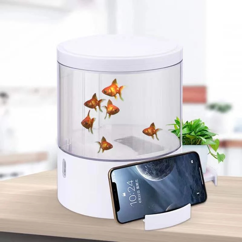 Round colorful lights desktop  - Aquarium Fish For Sale recensione e prezzo