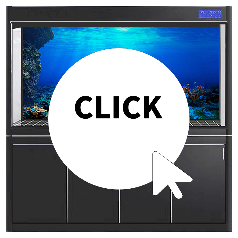 Fish Tank Background Decorativ - Aquarium Fish Of The World recensione e prezzo