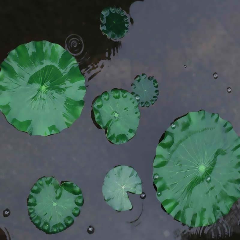 2026 Artificial Water Lily Lot - Aquarium Fish Farm recensione e prezzo