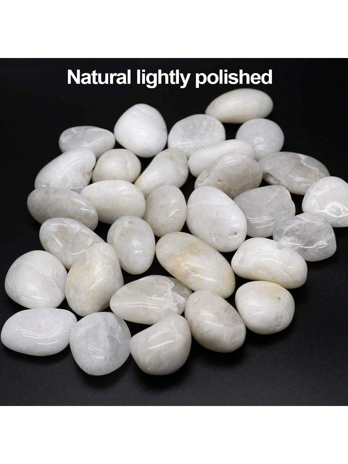 River Rocks Decorative Ornamen - Aquarium Fish Big recensione e prezzo