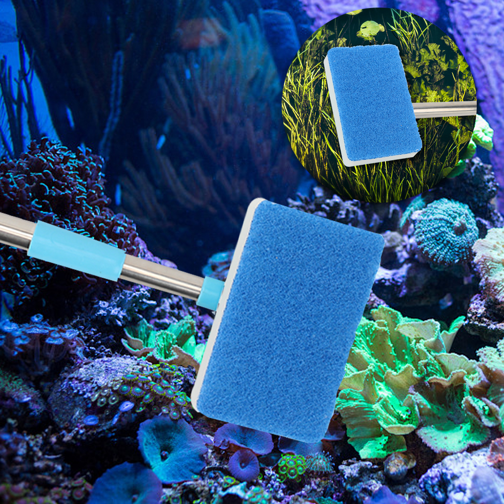 Cleaner Scrubber Double-Sided  - Aquarium Fish Long recensione e prezzo
