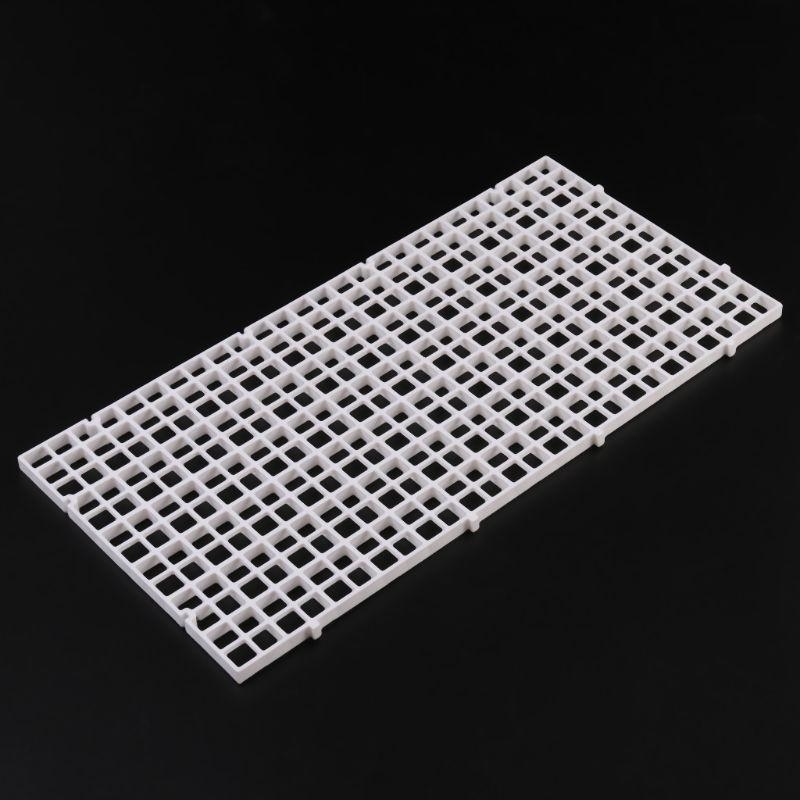 Aquarium Bottom Plate Fish for - Aquarium Fish For Sale recensione e prezzo