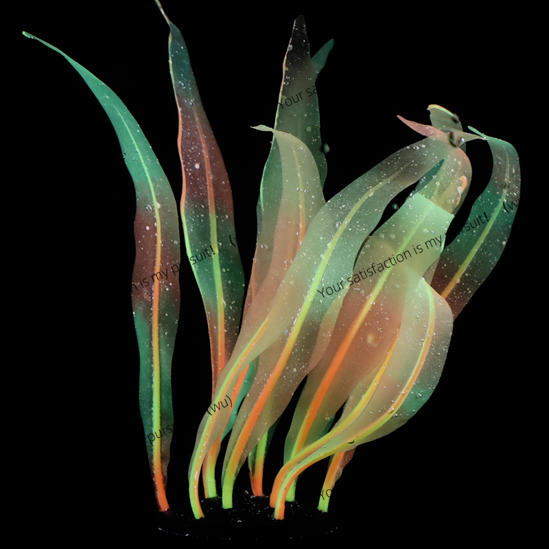 Simulated Kelp Plant Decoratio - Aquarium Fish Of The World recensione e prezzo