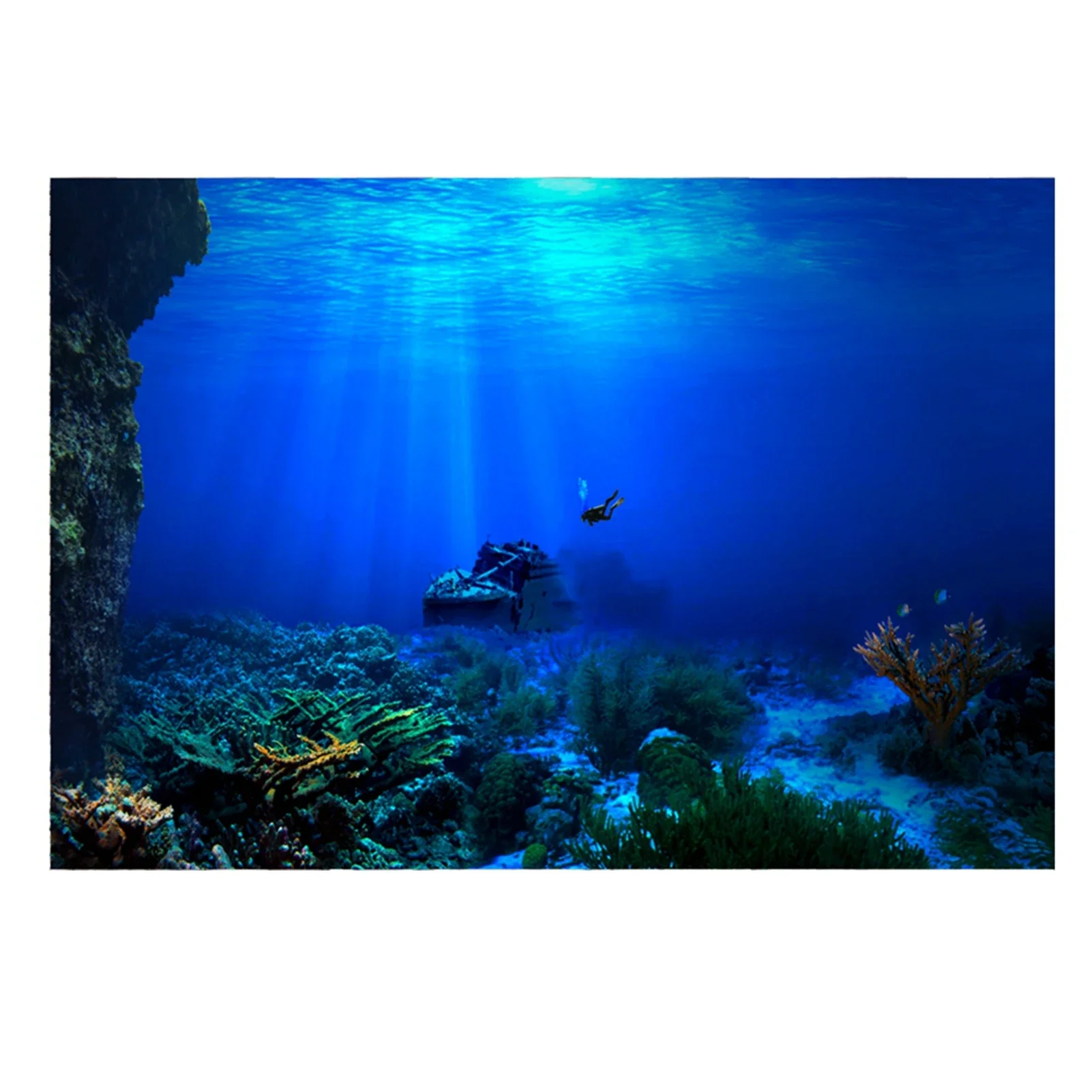 Rainforest Aquarium Background - Aquarium Fish Of The World recensione e prezzo