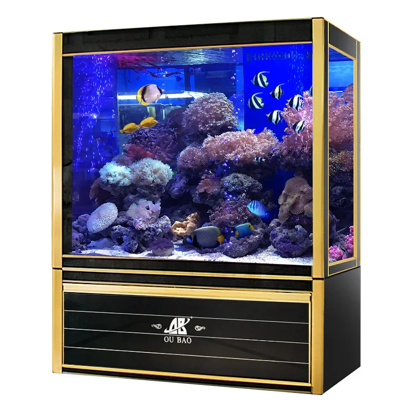 #s Aquariums & Accessories Bes - Aquarium Fish For Sale recensione e prezzo