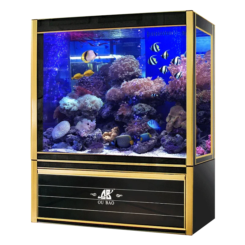 #s Aquariums & Accessories Bes - Aquarium Fish For Sale recensione e prezzo