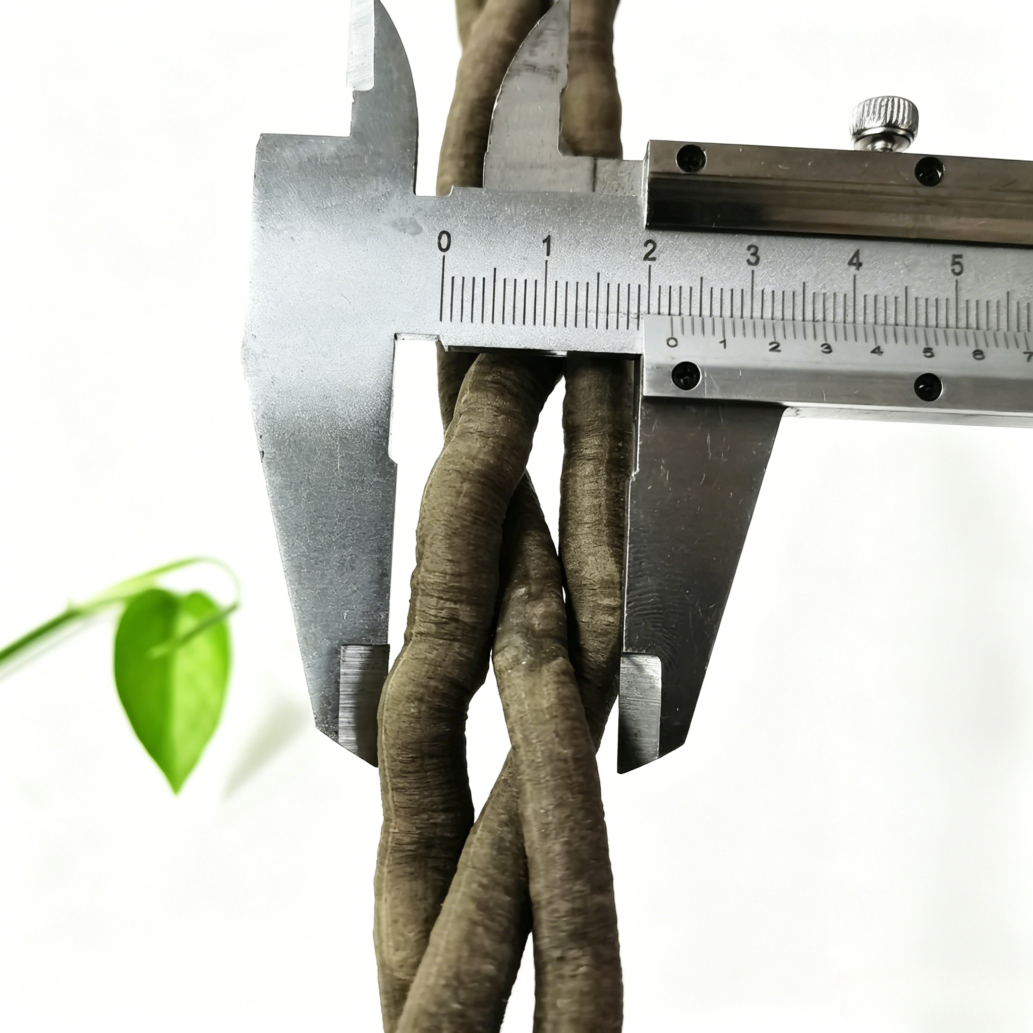 100cm Artificial Vine Fake Pla - Aquarium Fish Farm recensione e prezzo
