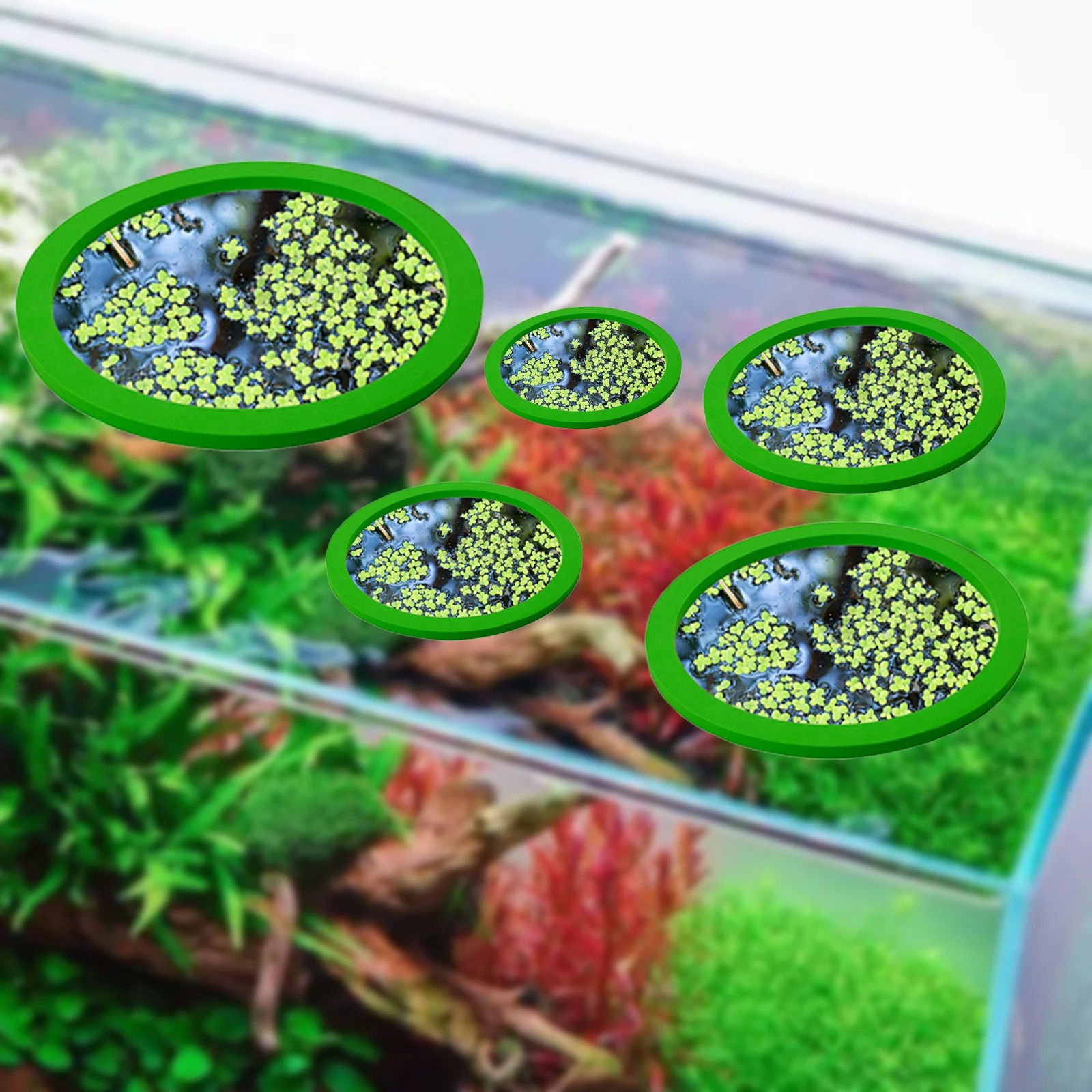 5Pcs EVA Fish Feeding Ring Aqu - Aquarium Fish Farm recensione e prezzo