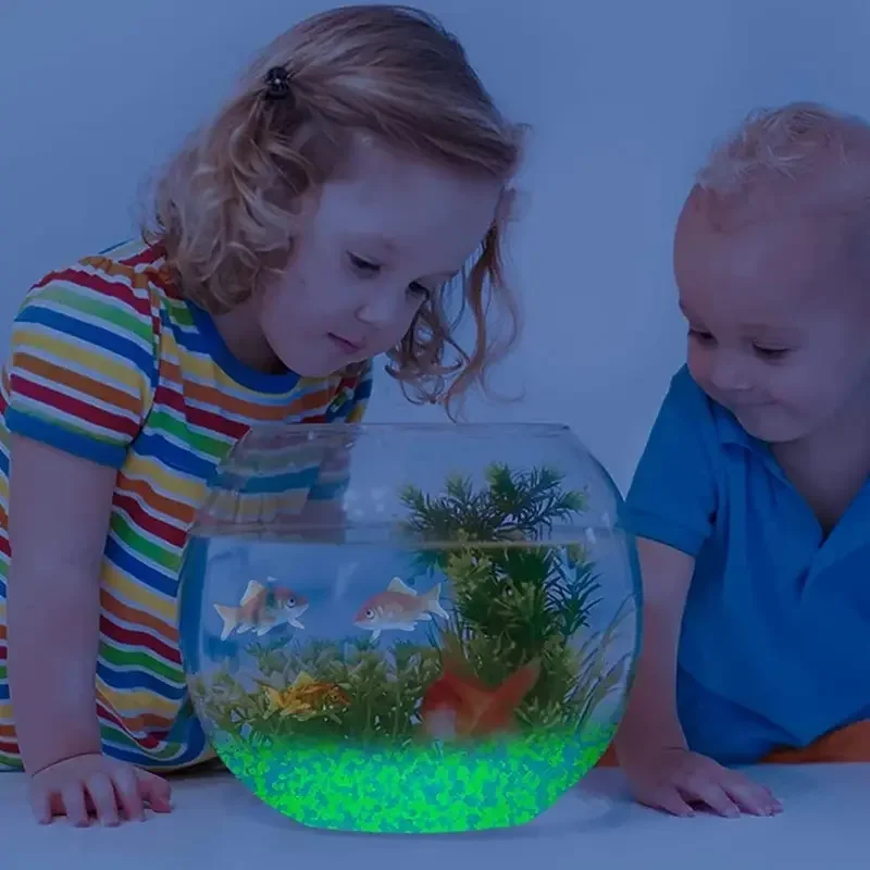 1000pcs 3-5mm Luminous Sand Gl - Aquarium Fish Farm recensione e prezzo