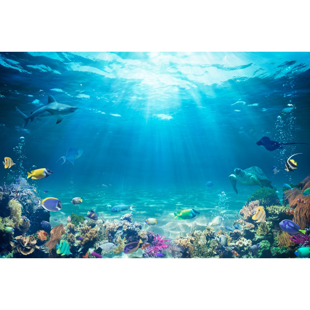 Underwater World Seabed Backdr - Aquarium Fish Of The World recensione e prezzo