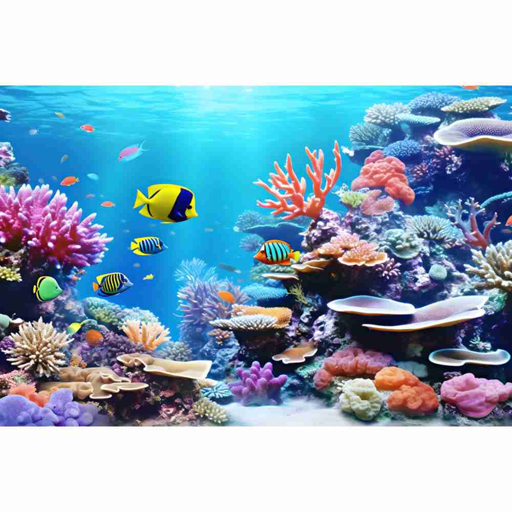 Underwater Ocean World Photogr - Aquarium Fish Of The World recensione e prezzo