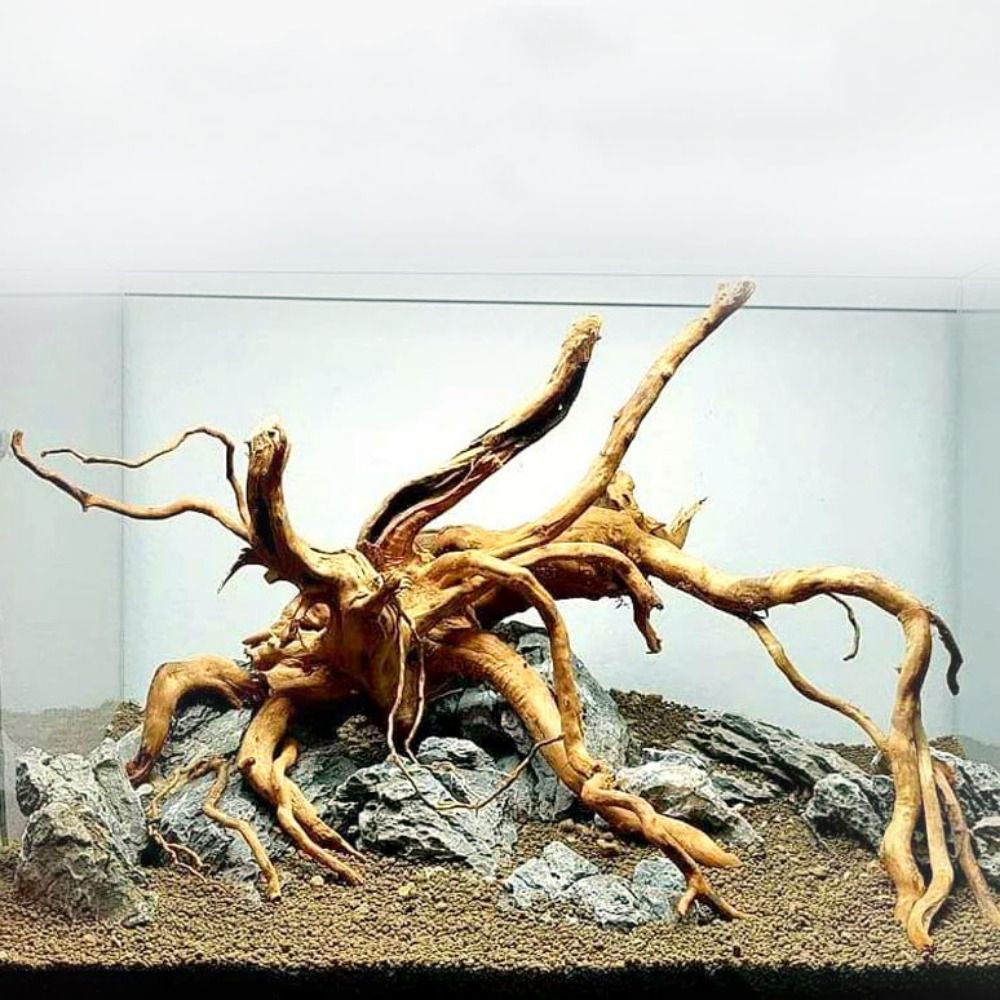 20-25CM Large Aquarium Driftwo - Aquarium Fish Big recensione e prezzo