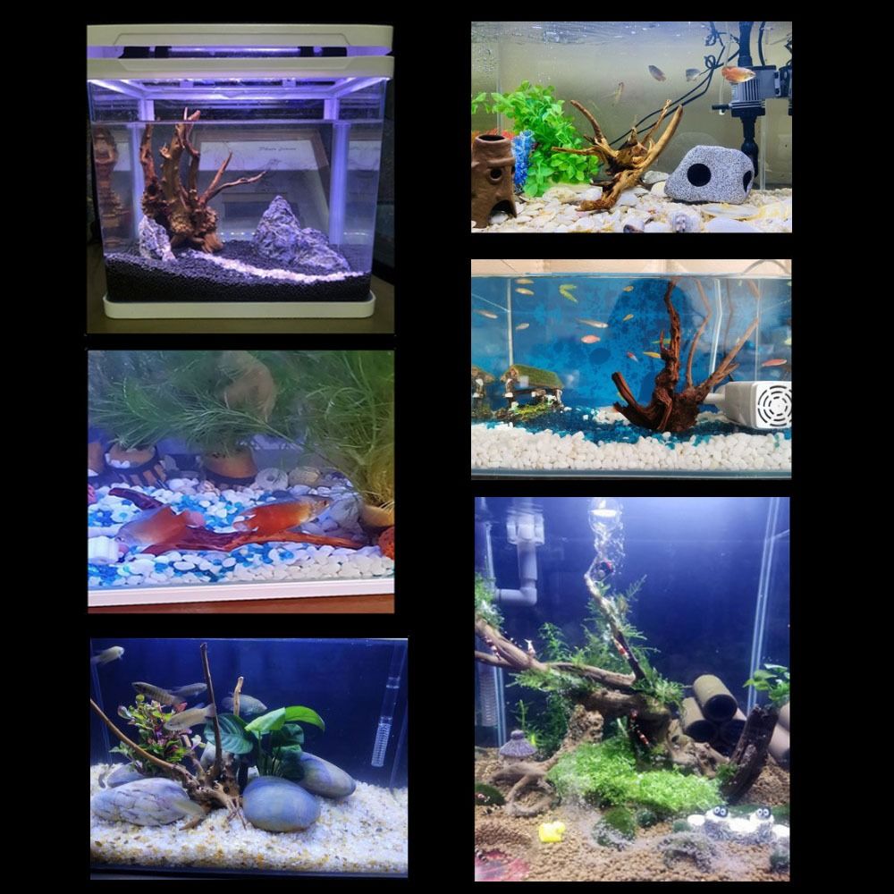 20-25CM Large Aquarium Driftwo - Aquarium Fish Big recensione e prezzo