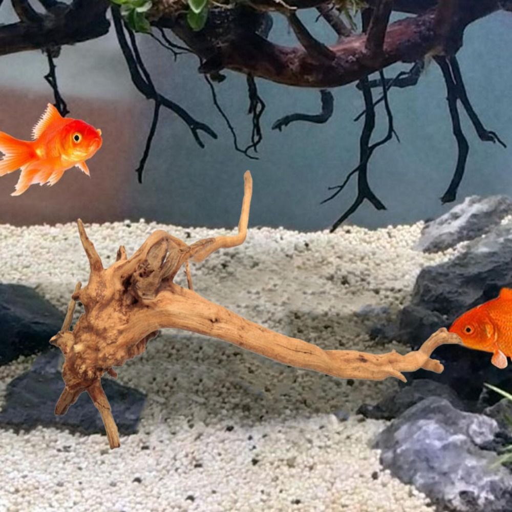 20-25CM Large Aquarium Driftwo - Aquarium Fish Big recensione e prezzo