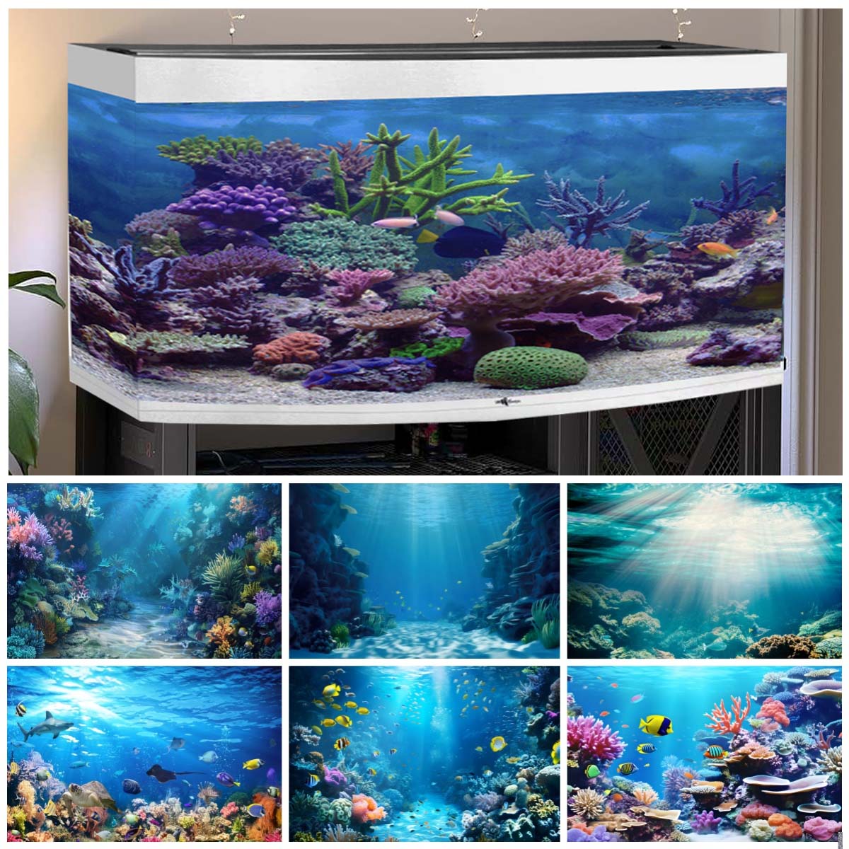 Underwater World Backgrounds f - Aquarium Fish Of The World recensione e prezzo