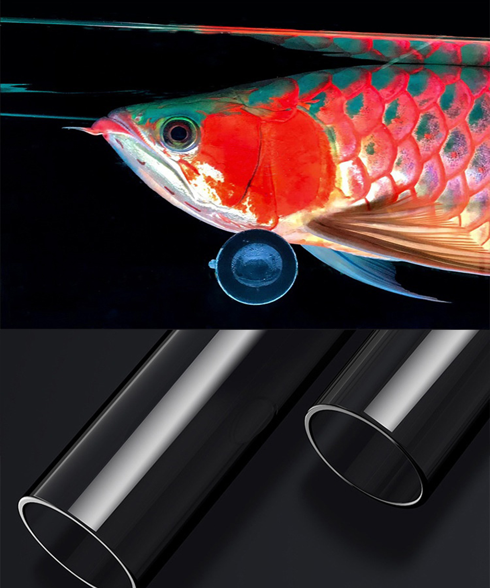 Red Arowana Lamp Special Glass - Aquarium Fish Colorful recensione e prezzo