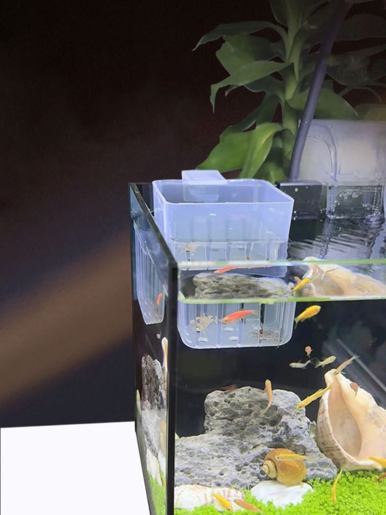 Aquarium Transparent Hydroponi - Aquarium Fish Big recensione e prezzo