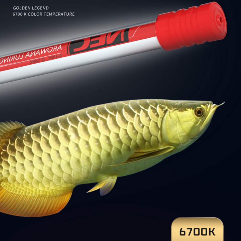 NEC-Arowana Lamp Color Brighte - Aquarium Fish Colorful recensione e prezzo